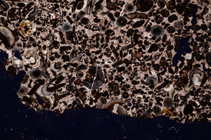 Cross Polarized, E2466