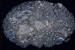 Cross Polarized, E2498