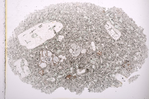 Plane Polarized, E2498