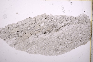 Plane Polarized, E2500