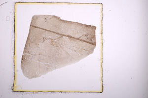 Plane Polarized, E2532