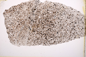 Plane Polarized, E2594