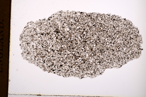 Plane Polarized, E2596