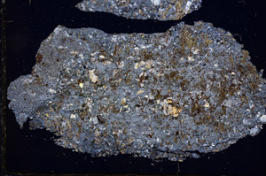 Cross Polarized, E2648