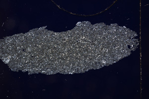 Cross Polarized, E2651