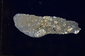 Cross Polarized, E2659