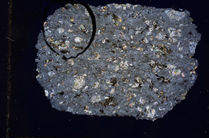 Cross Polarized, E2661