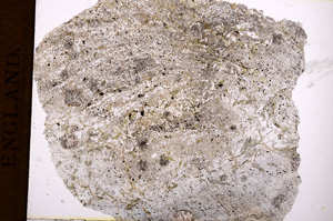 Plane Polarized, E2672