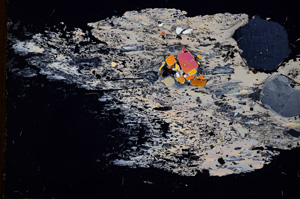 Cross Polarized, E2714