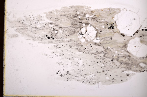 Plane Polarized, E2714