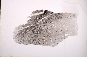 Plane Polarized, E2715