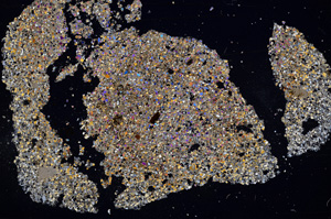 Cross Polarized, E2747