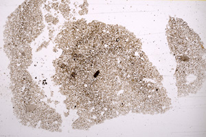 Plane Polarized, E2747