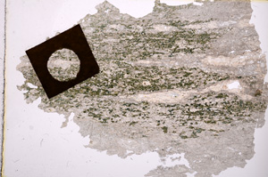 Plane Polarized, E2765