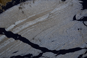 Cross Polarized, E2768