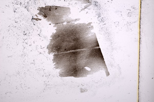Plane Polarized, E2769