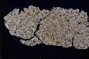 Cross Polarized, E2787