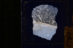 Cross Polarized, E2789