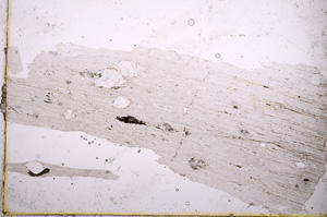 Plane Polarized, E2793