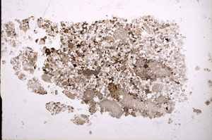 Plane Polarized, E2857
