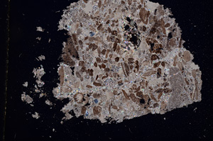 Cross Polarized, E2863