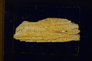 Cross Polarized, E2872