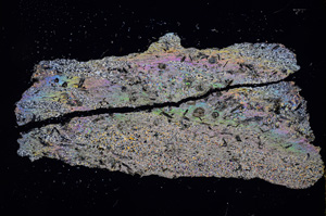 Cross Polarized, E2894