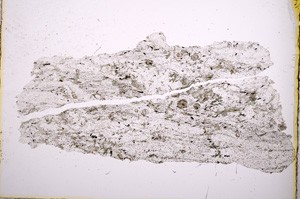 Plane Polarized, E2894