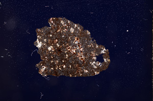 Cross Polarized, E2932