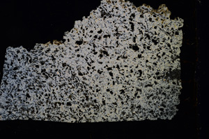 Cross Polarized, E2933