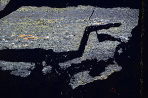 Cross Polarized, E2956