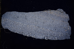 Cross Polarized, E2961
