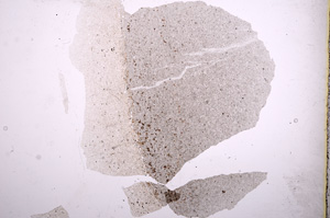 Plane Polarized, E2967