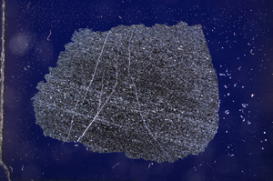 Cross Polarized, E2971