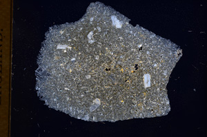 Cross Polarized, E3024