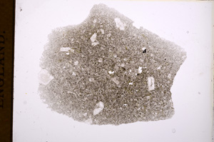 Plane Polarized, E3024