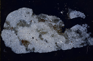 Cross Polarized, E3035