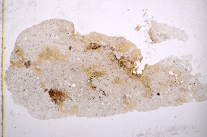 Plane Polarized, E3035