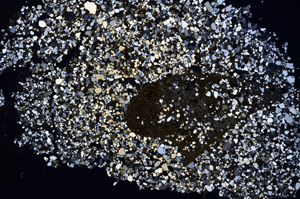 Cross Polarized, E3043