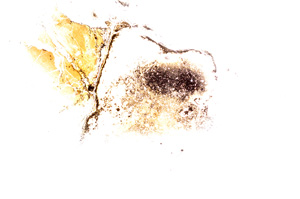 Plane Polarized, E3045