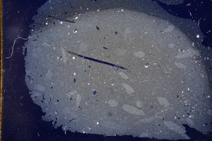 Cross Polarized, E3047