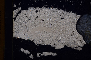 Cross Polarized, E3052