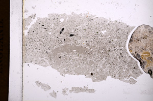 Plane Polarized, E3052