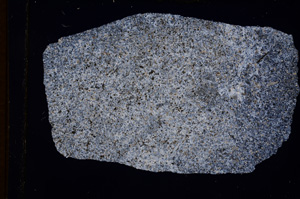 Cross Polarized, E3061