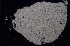 Cross Polarized, E3106