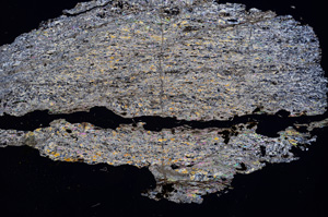 Cross Polarized, E3118