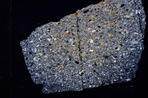 Cross Polarized, E3149