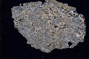 Cross Polarized, E3154