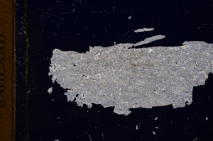 Cross Polarized, E3155