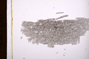 Plane Polarized, E3155